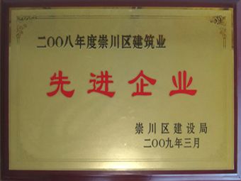  2008年度先进企业